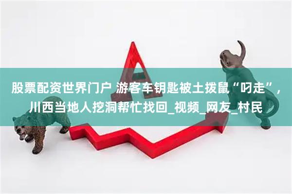 股票配资世界门户 游客车钥匙被土拨鼠“叼走”，川西当地人挖洞帮忙找回_视频_网友_村民