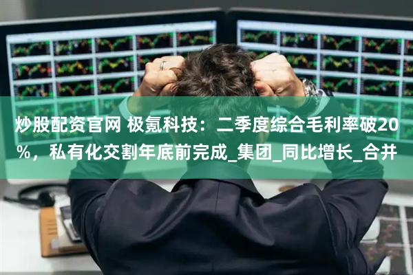 炒股配资官网 极氪科技：二季度综合毛利率破20%，私有化交割年底前完成_集团_同比增长_合并